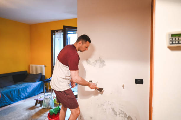Best Localized Mold Remediation (e.g., coastal areas, humid climates) in Silver Lake, FL